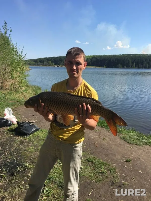 Carp — Pechet, May 10, 2019