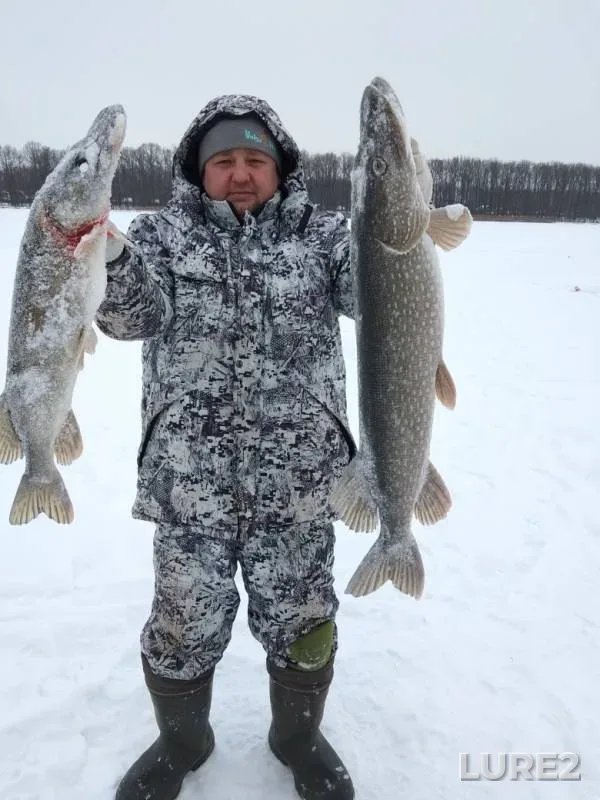 Pike — GorGRES, Jan 27, 2019