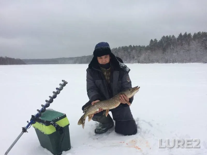 Pike — Arkhangelskaya oblast, Lenskiy rayon, Dec 14, 2018