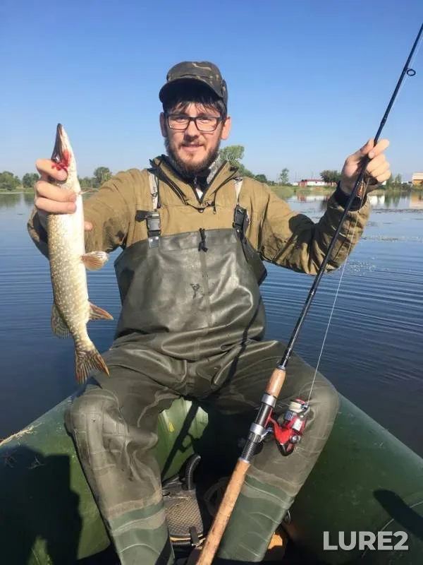 Perch, Pike — Uybat, Aug 11, 2018