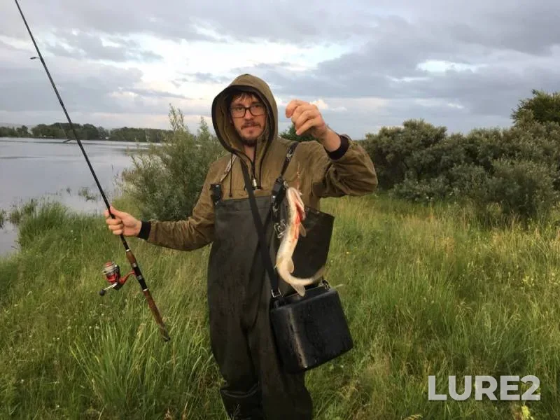 Perch, Pike — Uybat, Jul 27, 2018