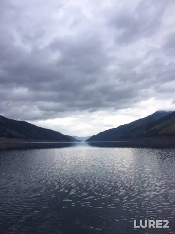 Perch, Pike — Sayano-Shushenskoye, May 13, 2018