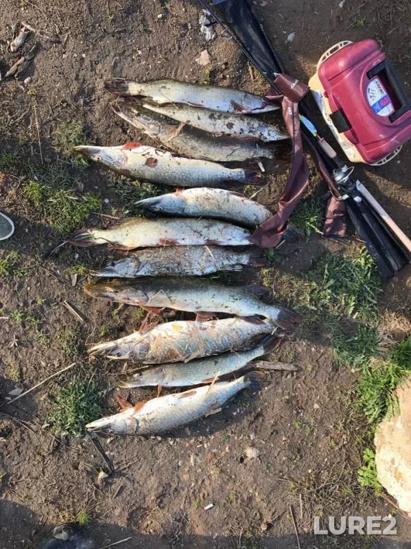 Pike — Pechet, May 12, 2017