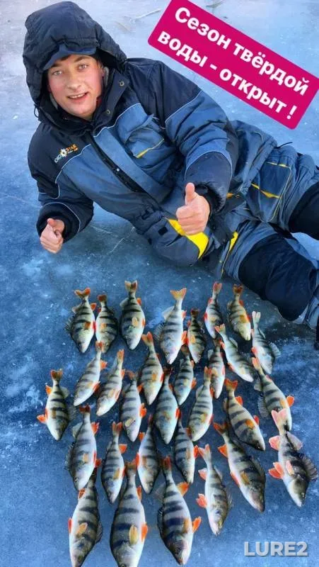 Perch — Varvarovskoye, Dec 02, 2018