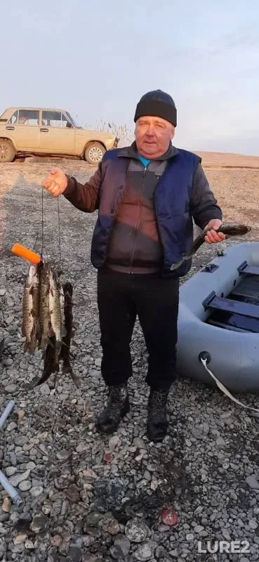 Pike — Salda, Nov 04, 2019