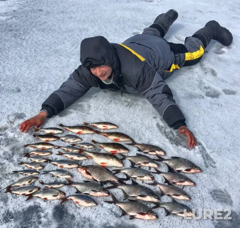 Bream, Perch — Varvarovskoye, Apr 04, 2018