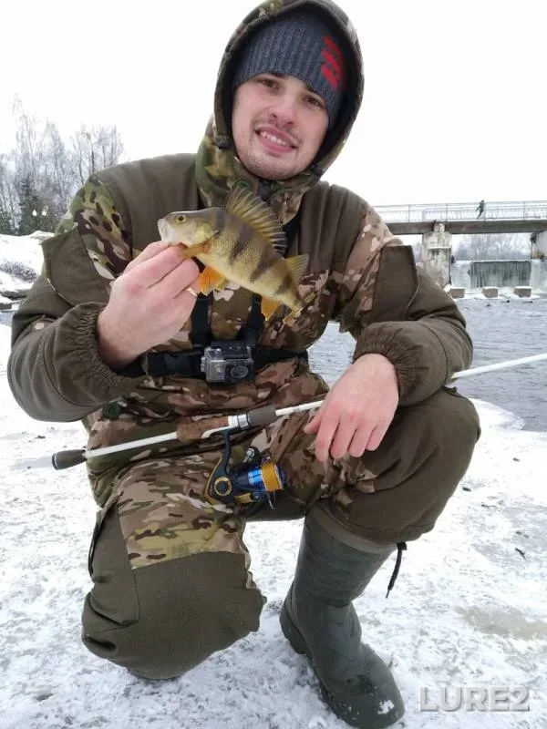Perch — Lovats, Dec 07, 2018