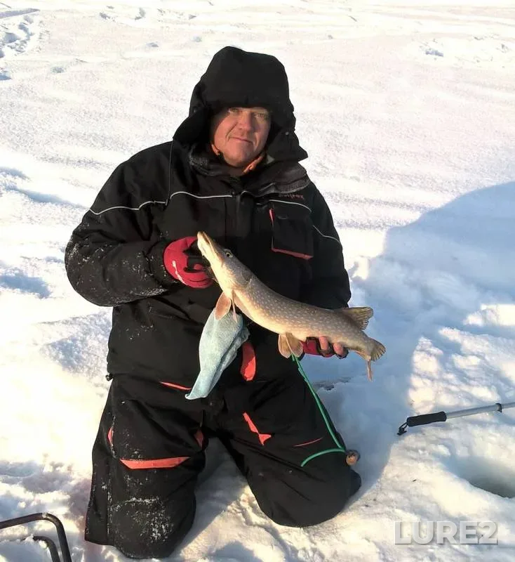 Bream, Pike — Tobyl - Tobol, Jan 29, 2017