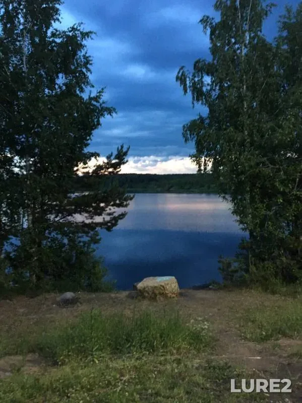 Bream, Crucian carp — Beloyarskoye, Jun 23, 2019