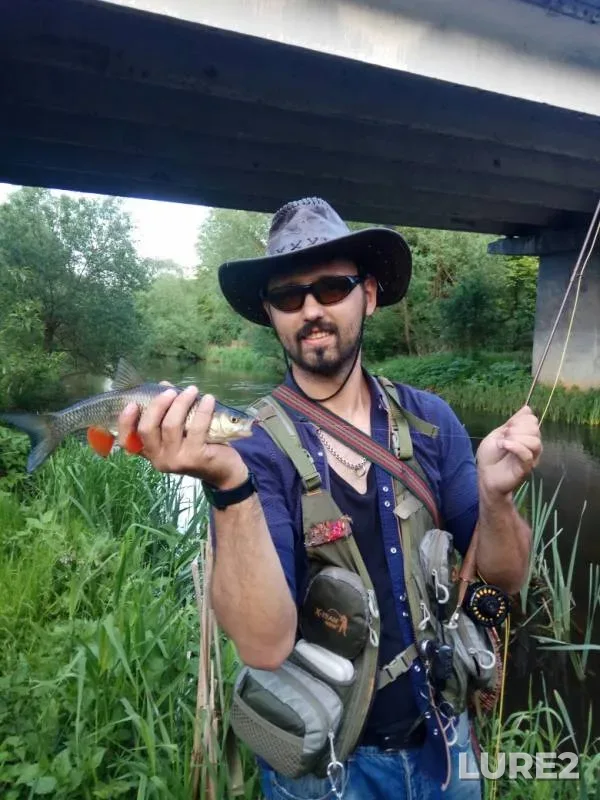 Chub, Perch — Ptich, May 22, 2019
