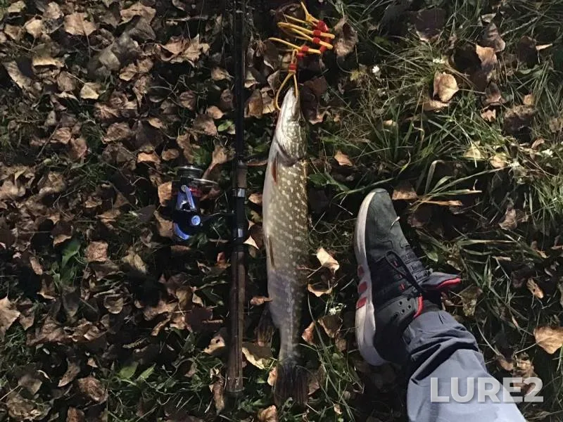 Pike — Minusinskaya protoka, Oct 10, 2019