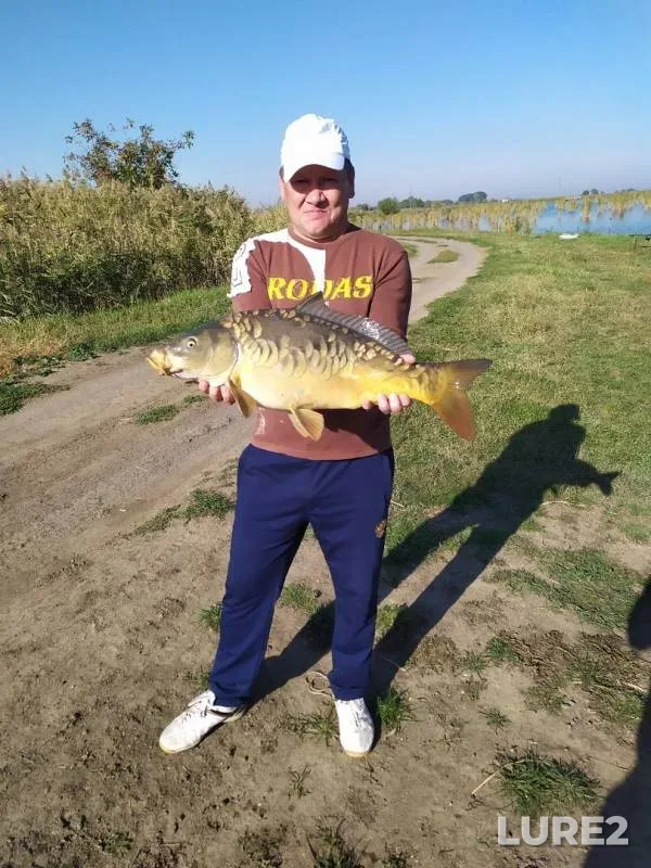 Carp — Krasnodarskiy kray, Oct 04, 2019