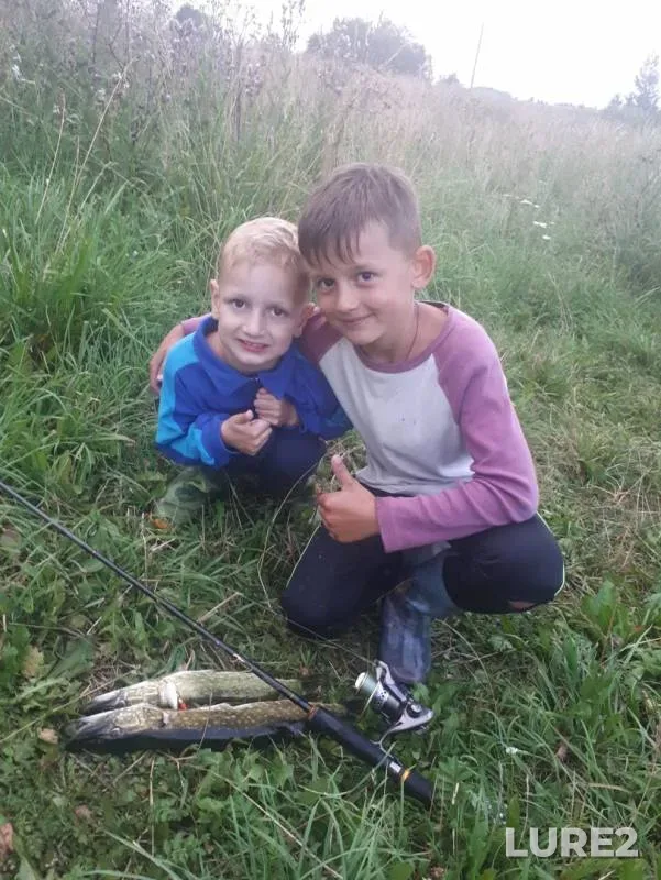 Bream, Pike — Obsterno, Jul 21, 2018