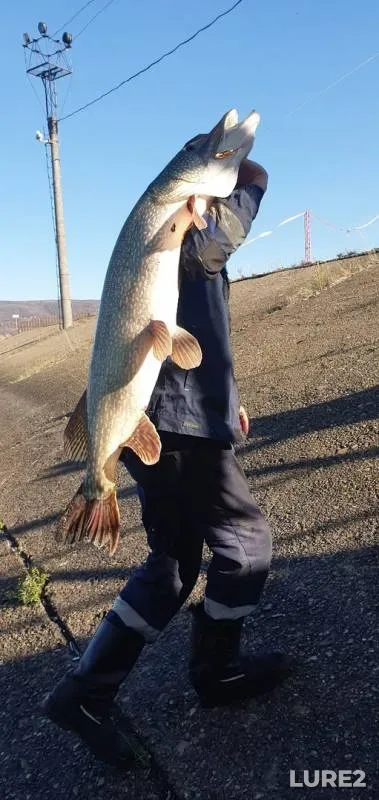 Pike — Nugushskoye, Oct 09, 2019