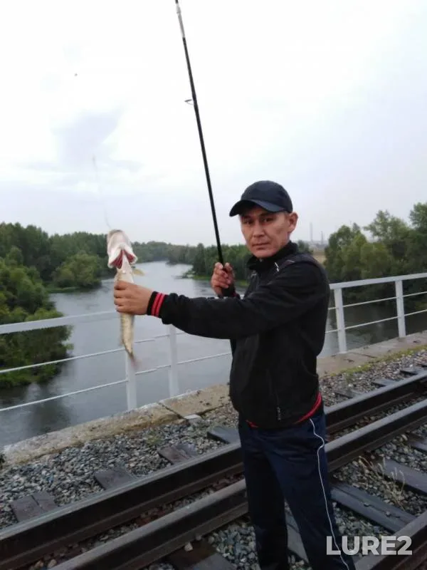 Pike — Belaya, Aug 01, 2019