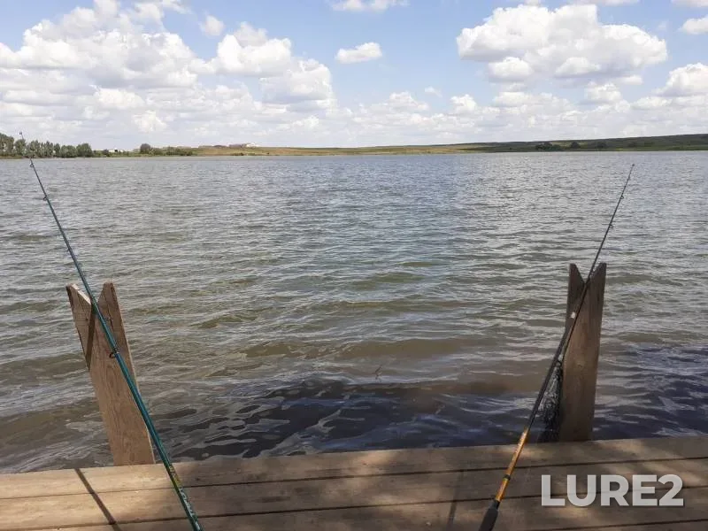 Carp — Respublika Bashkortostan, Jul 21, 2019