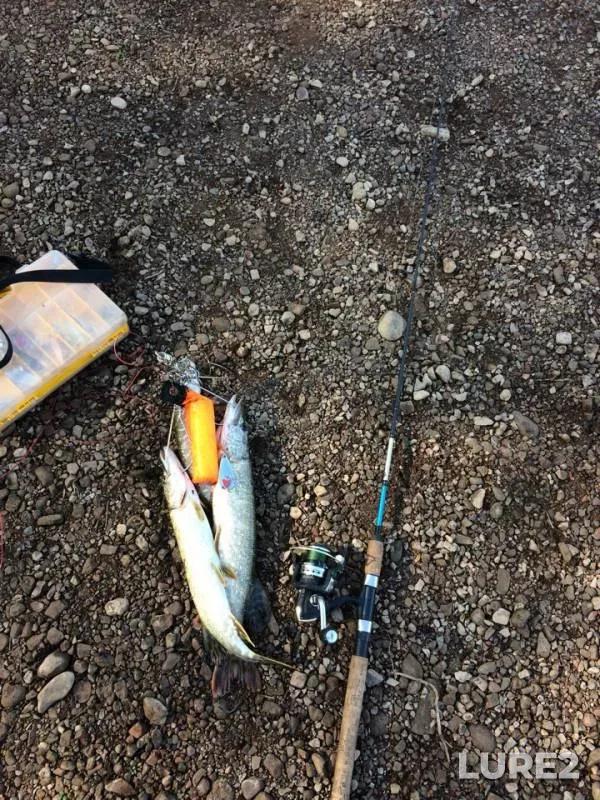 Pike — Tor, Sep 16, 2018