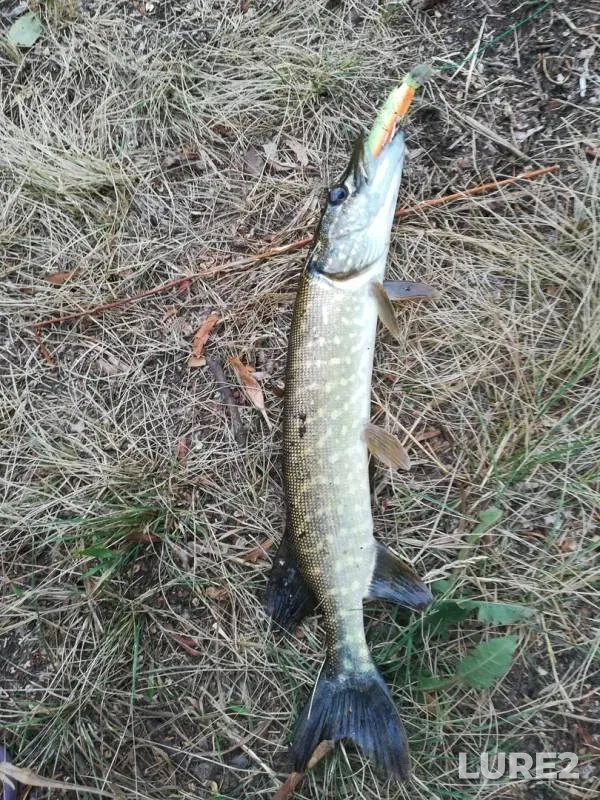 Pike — Belaya, Jul 07, 2018