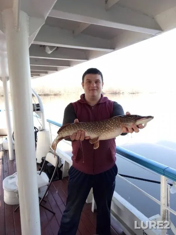 Pike — Moskva, Apr 12, 2018