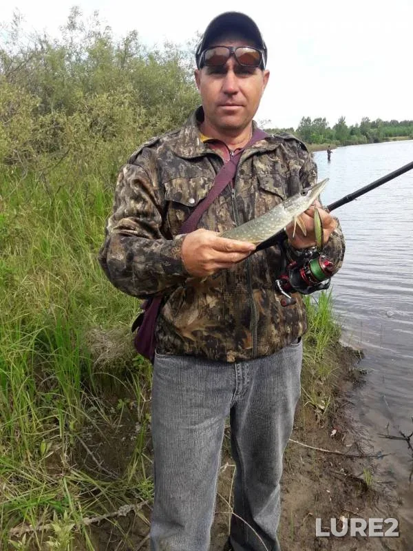 Pike — Penzenskaya oblast, Kuznetskiy rayon, Jun 30, 2019