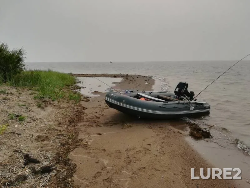 Perch, Pike — Gusinoye, Aug 01, 2019