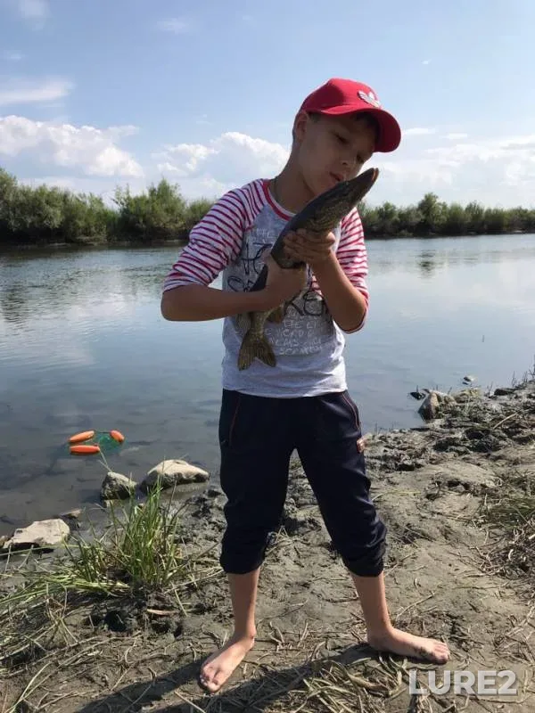 Pike — Respublika Buryatiya, Barguzinskiy rayon, Aug 12, 2019