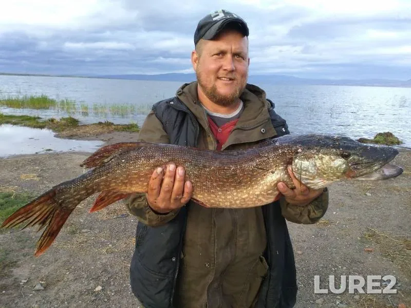 Pike — Gusinoye, Aug 17, 2019