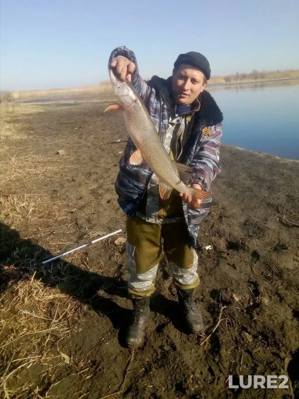 Perch, Pike — Ina, Oct 16, 2019