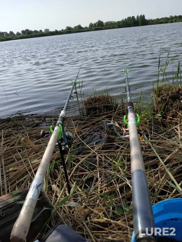 Crucian carp — Beysuzhyok Levyy, Jun 12, 2019