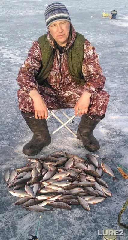Roach — Gusinoye, Mar 31, 2019