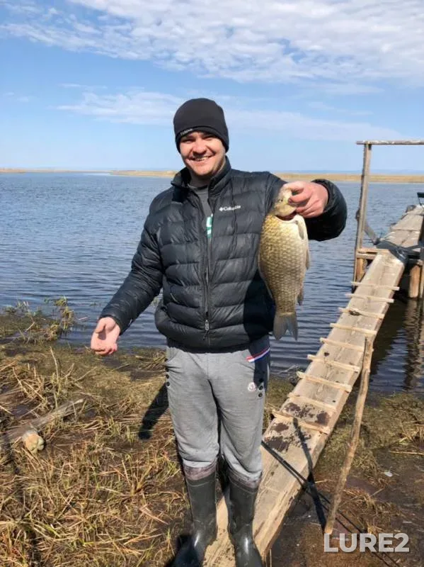 Crucian carp — Respublika Buryatiya, Kabanskiy rayon, May 21, 2019