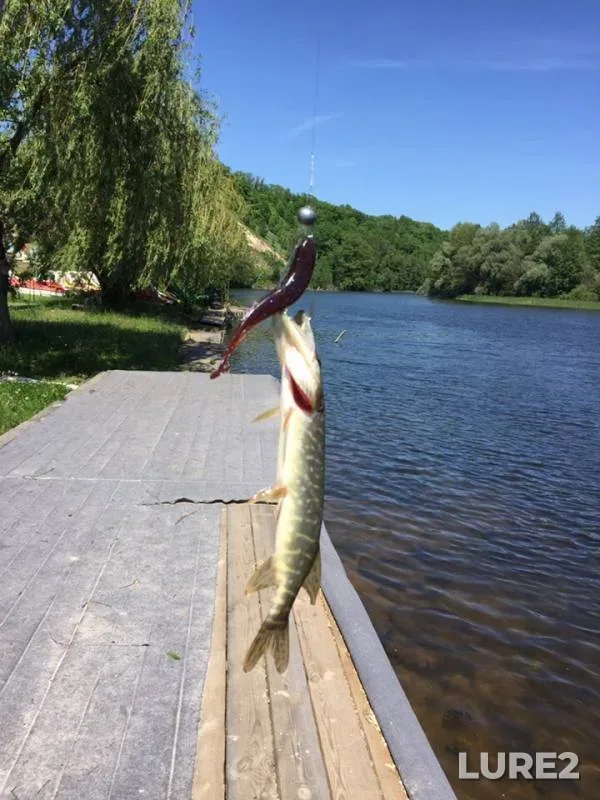 Pike — Voronezh, May 19, 2019