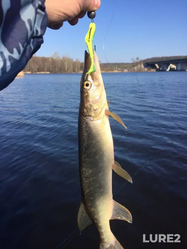 Pike — Voronezh, Apr 17, 2019