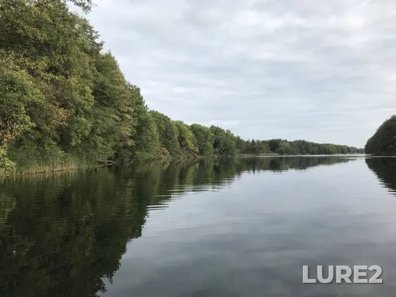 Pike — Voronezh, Sep 20, 2019
