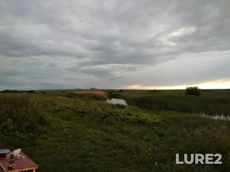 Bream — Penzenskoye, Jul 09, 2017