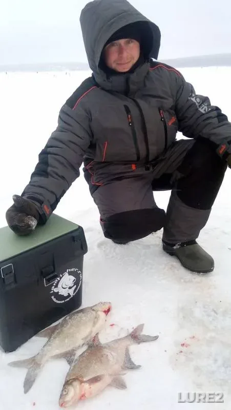 Bream — Penzenskoye, Dec 20, 2016