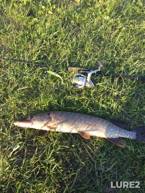 Pike — Usmanka, Apr 24, 2019