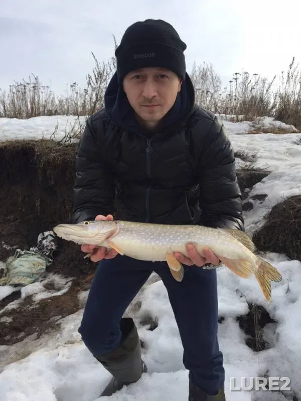 Perch, Pike — Don, Mar 10, 2019
