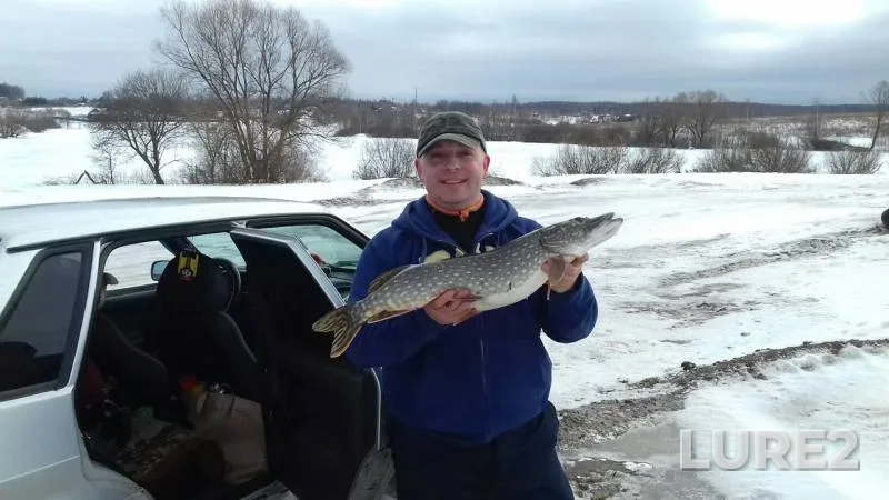 Pike — Tulskaya oblast, Feb 27, 2019