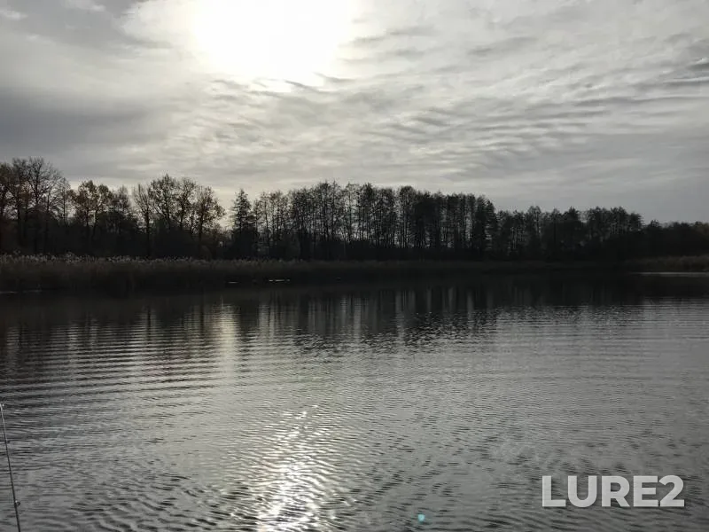 Pike — Voronezh, Nov 11, 2018