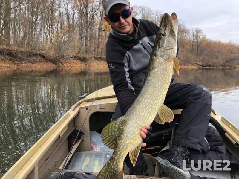 Pike — Seym, Oct 29, 2018