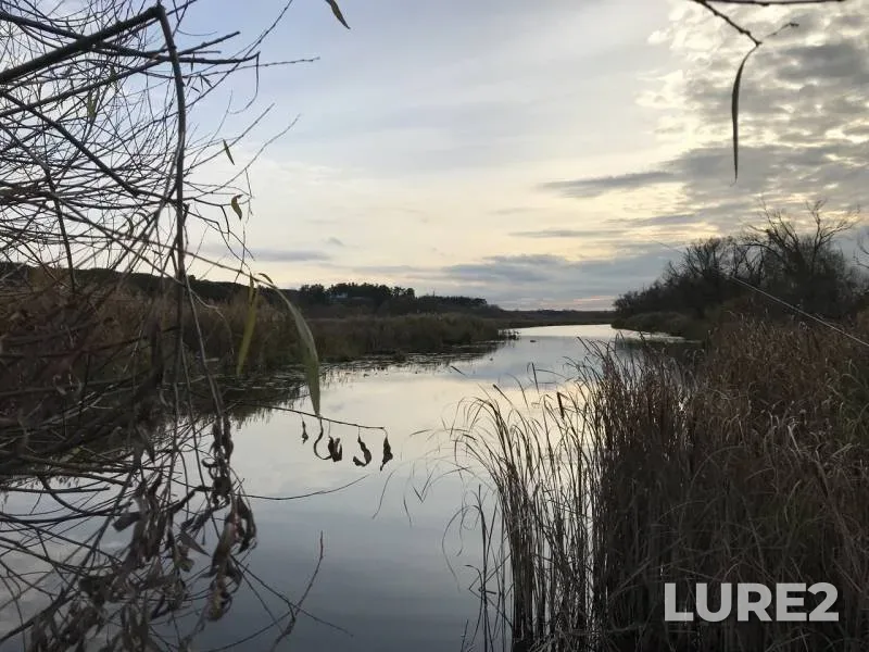 Crucian carp — Krugloye, Oct 27, 2018