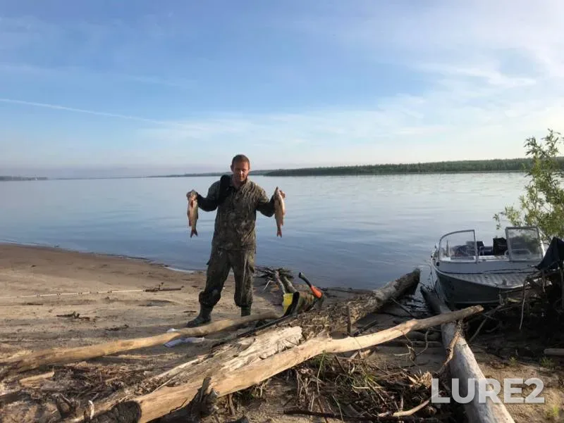 Crucian carp — Irtysh, Jul 13, 2019