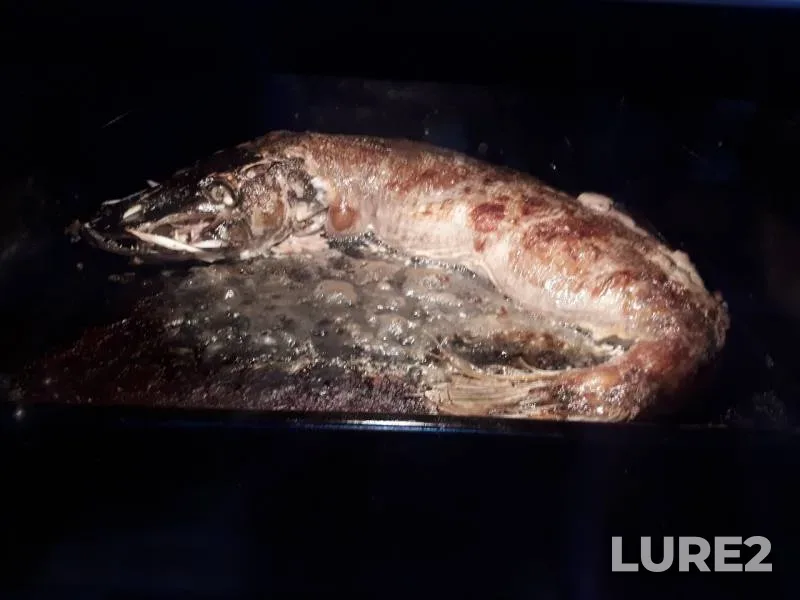 Bream, Crucian carp — Tavda, May 03, 2019