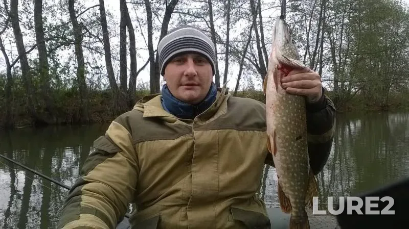 Pike — Penzenskaya oblast, Oct 16, 2016