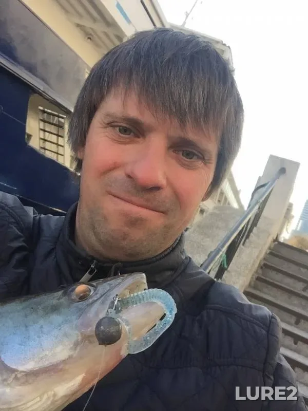 Zander — Don, Nov 02, 2019