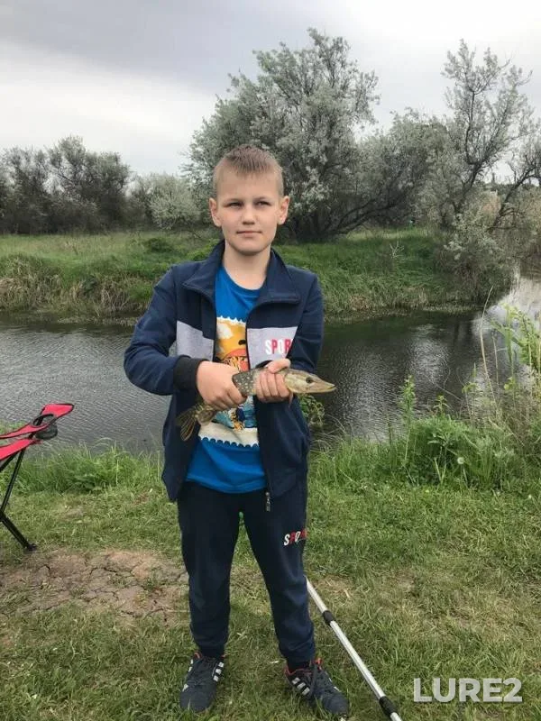 Crucian carp, Pike — Myortvyy Donets, May 09, 2018