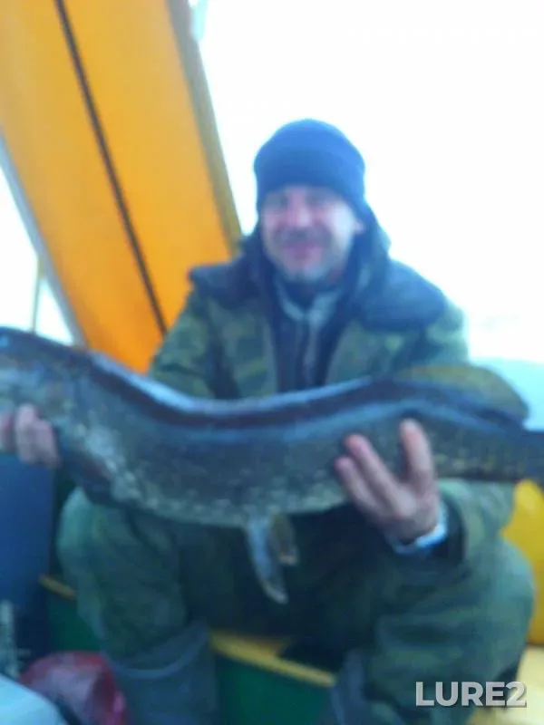 Bream, Pike — Nizhnekamskoye, Oct 25, 2018