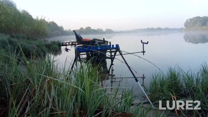 Bream, Perch — Oka, May 12, 2019