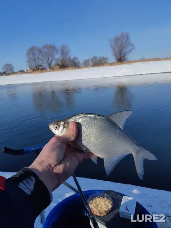 Bream — Kazanka, Mar 10, 2019